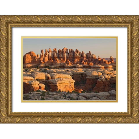 UT-Canyonlands National Park-The Needle Rock spires and grabens at Chester Park Gold Ornate Wood Framed Art Print with Double Matting by Wild, Jamie and Judy