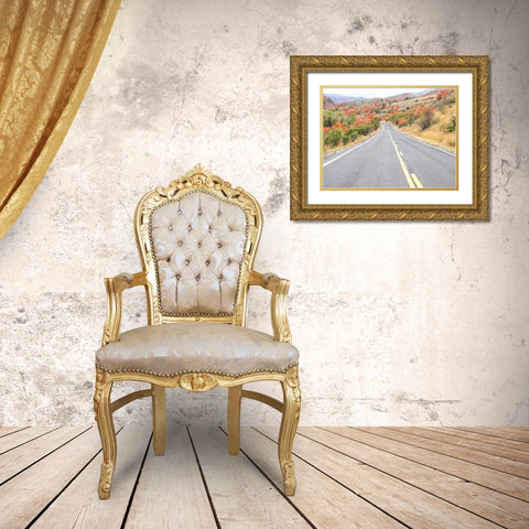 Utah Highway 39 heading west out of Wasatch Mountains with Autumn colors Gold Ornate Wood Framed Art Print with Double Matting by Gulin, Sylvia