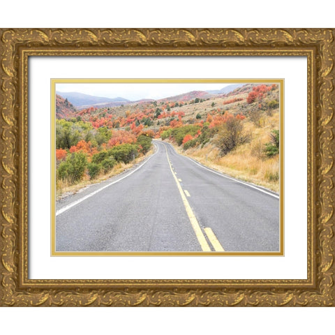 Utah Highway 39 heading west out of Wasatch Mountains with Autumn colors Gold Ornate Wood Framed Art Print with Double Matting by Gulin, Sylvia
