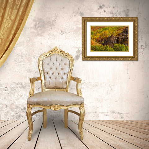 USA-Utah-Highway 89 and canyon walls of Logan pass with fall colors Gold Ornate Wood Framed Art Print with Double Matting by Gulin, Sylvia