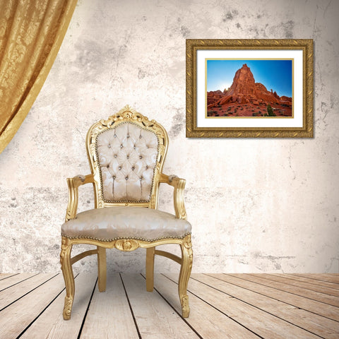 Arches National Park evening light-USA-Utah Gold Ornate Wood Framed Art Print with Double Matting by Eggers, Terry