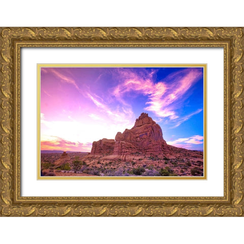 Arches National Park evening light-USA-Utah Gold Ornate Wood Framed Art Print with Double Matting by Eggers, Terry