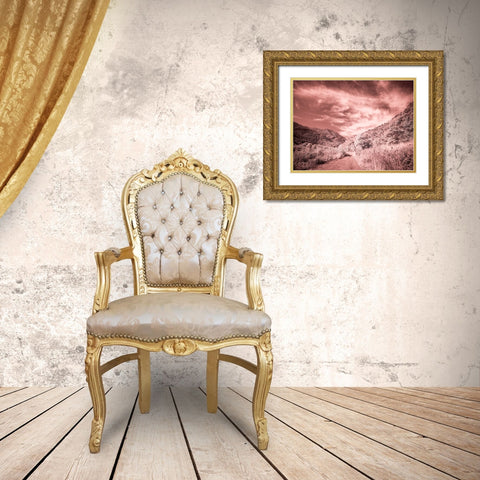 USA-Utah-Infrared of backroad in the Logan Pass area Gold Ornate Wood Framed Art Print with Double Matting by Eggers, Terry