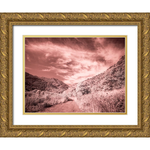 USA-Utah-Infrared of backroad in the Logan Pass area Gold Ornate Wood Framed Art Print with Double Matting by Eggers, Terry