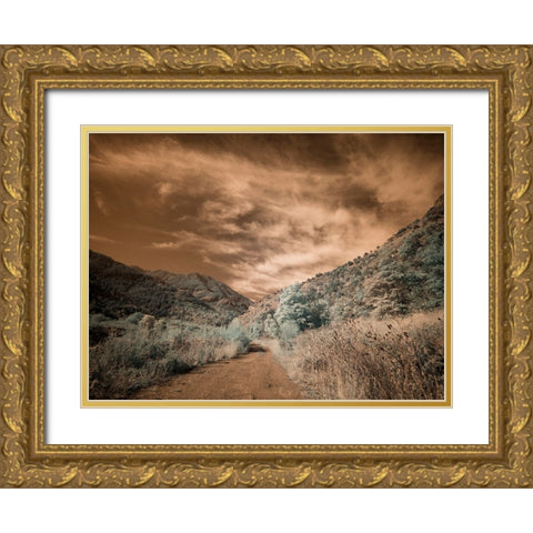 USA-Utah-Infrared of backroad in the Logan Pass area Gold Ornate Wood Framed Art Print with Double Matting by Eggers, Terry