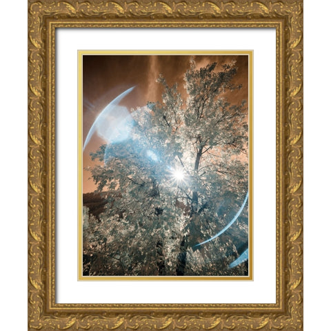USA-Utah-Infrared of the Logan Pass area Gold Ornate Wood Framed Art Print with Double Matting by Eggers, Terry