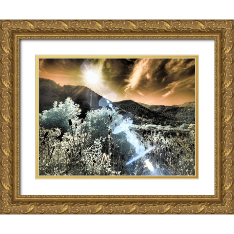 USA-Utah-Infrared of the Logan Pass area with sunrays Gold Ornate Wood Framed Art Print with Double Matting by Eggers, Terry
