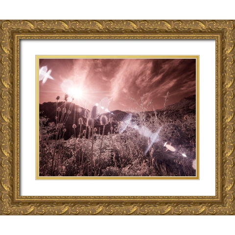 USA-Utah-Infrared of the Logan Pass area with sunrays Gold Ornate Wood Framed Art Print with Double Matting by Eggers, Terry