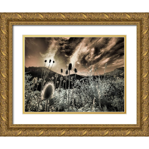 USA-Utah-Infrared of the Logan Pass area Gold Ornate Wood Framed Art Print with Double Matting by Eggers, Terry
