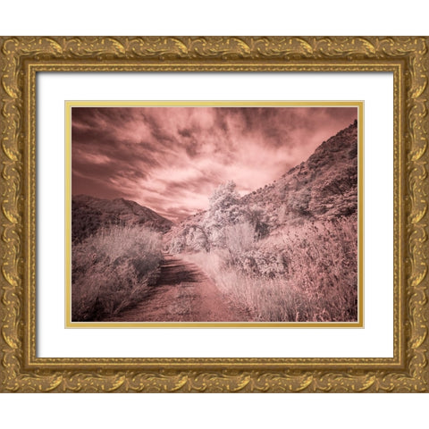 USA-Utah-Infrared of backroad in the Logan Pass area Gold Ornate Wood Framed Art Print with Double Matting by Eggers, Terry