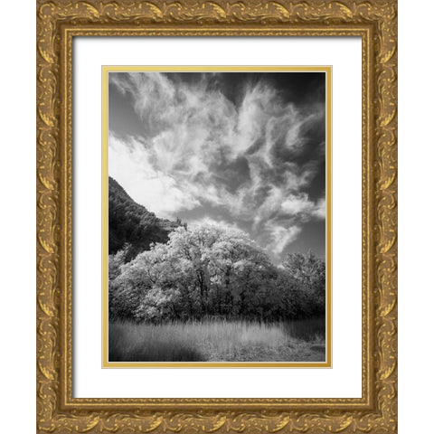 USA-Utah-Infrared of the Logan Pass area and lone tree Gold Ornate Wood Framed Art Print with Double Matting by Eggers, Terry