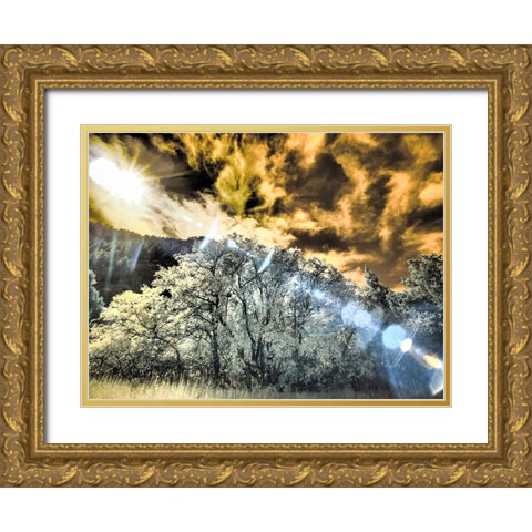 USA-Utah-Infrared of the Logan Pass area and lone tree Gold Ornate Wood Framed Art Print with Double Matting by Eggers, Terry
