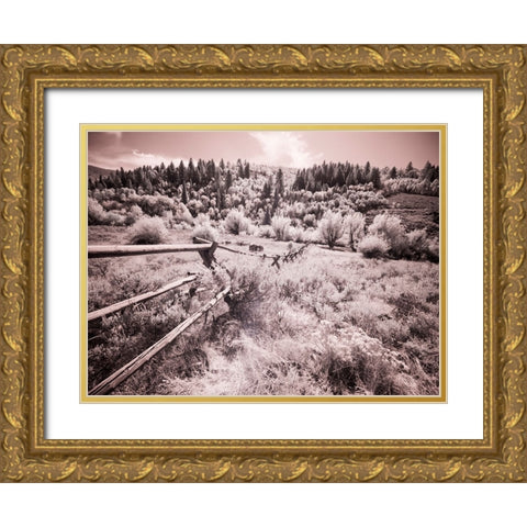 USA-Utah-Infrared of the Logan Pass area with long rail fence Gold Ornate Wood Framed Art Print with Double Matting by Eggers, Terry