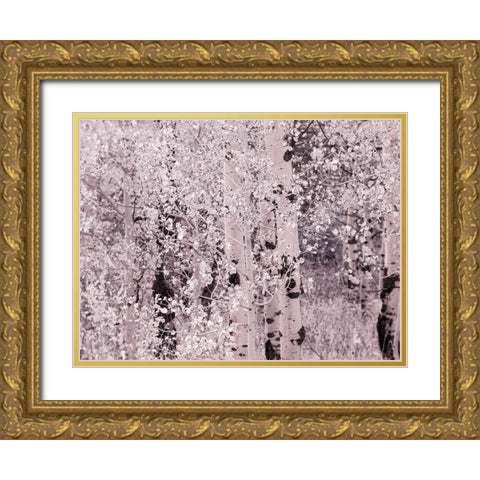 USA-Utah-Aspen Grove in infrared of the Logan Pass area Gold Ornate Wood Framed Art Print with Double Matting by Eggers, Terry