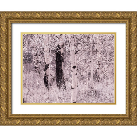 USA-Utah-Aspen Grove in infrared of the Logan Pass area Gold Ornate Wood Framed Art Print with Double Matting by Eggers, Terry