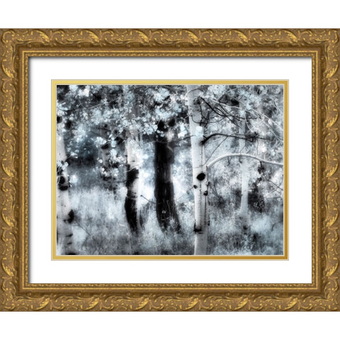 USA-Utah-Aspen Grove in infrared of the Logan Pass area Gold Ornate Wood Framed Art Print with Double Matting by Eggers, Terry