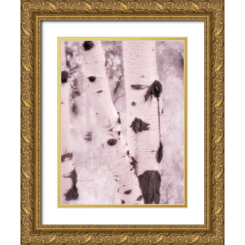 USA-Utah-Aspen Grove in infrared of the Logan Pass area Gold Ornate Wood Framed Art Print with Double Matting by Eggers, Terry