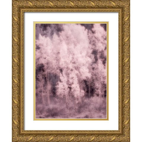 USA-Utah-Aspen Grove in infrared of the Logan Pass area Gold Ornate Wood Framed Art Print with Double Matting by Eggers, Terry