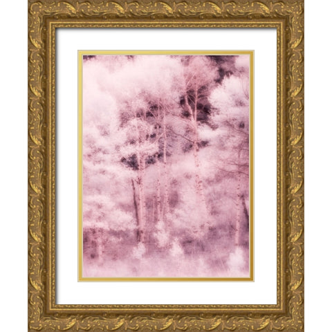 USA-Utah-Aspen Grove in infrared of the Logan Pass area Gold Ornate Wood Framed Art Print with Double Matting by Eggers, Terry