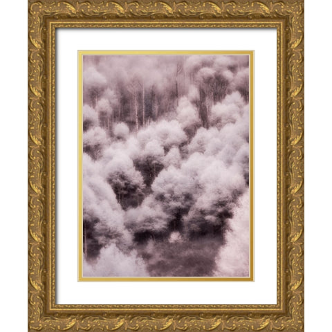 USA-Utah-Aspen Grove in infrared of the Logan Pass area Gold Ornate Wood Framed Art Print with Double Matting by Eggers, Terry