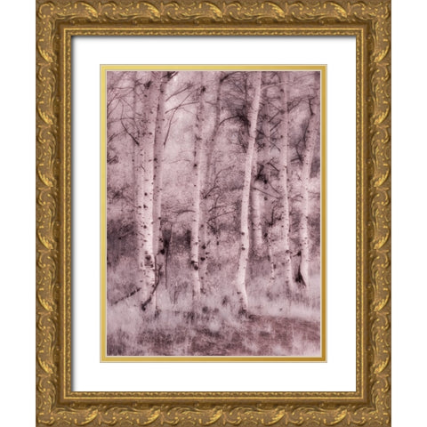USA-Utah-Aspen Grove in infrared of the Logan Pass area Gold Ornate Wood Framed Art Print with Double Matting by Eggers, Terry