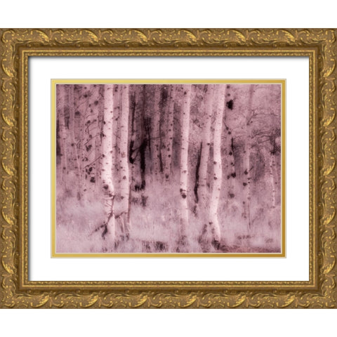 USA-Utah-Aspen Grove in infrared of the Logan Pass area Gold Ornate Wood Framed Art Print with Double Matting by Eggers, Terry