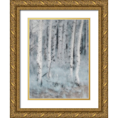 USA-Utah-Aspen Grove in infrared of the Logan Pass area Gold Ornate Wood Framed Art Print with Double Matting by Eggers, Terry