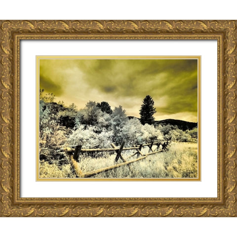 USA-Utah-Infrared of the Logan Pass area with split rai fence Gold Ornate Wood Framed Art Print with Double Matting by Eggers, Terry