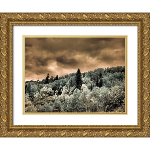USA-Utah-Aspen Grove in infrared of the Logan Pass area Gold Ornate Wood Framed Art Print with Double Matting by Eggers, Terry