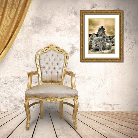 USA-Utah-Aspen Grove in infrared of the Logan Pass area Gold Ornate Wood Framed Art Print with Double Matting by Eggers, Terry