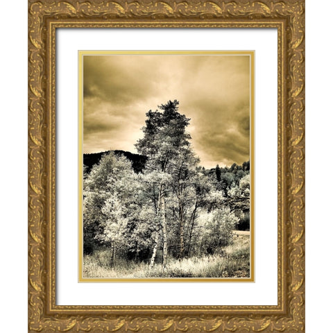 USA-Utah-Aspen Grove in infrared of the Logan Pass area Gold Ornate Wood Framed Art Print with Double Matting by Eggers, Terry