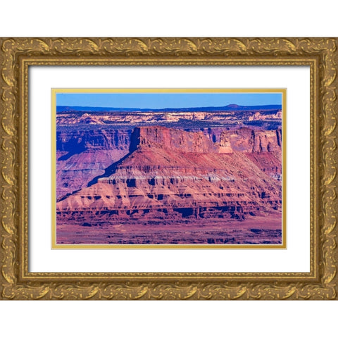 Red Rock Canyons Overlook- Canyonlands National Park- Moab- Utah. Green Canyon. Gold Ornate Wood Framed Art Print with Double Matting by Perry, William