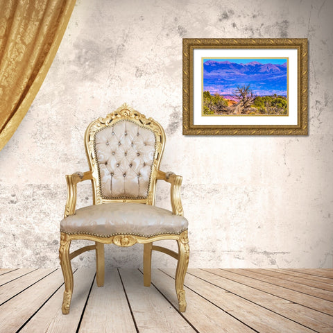 Old wood branch- Abajo Mountains- Canyonlands National Park- Moab- Utah. Gold Ornate Wood Framed Art Print with Double Matting by Perry, William