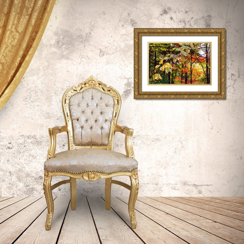 USA-Vermont-Morrisville-Jopson Lane Fall foliage Gold Ornate Wood Framed Art Print with Double Matting by Jones, Allison