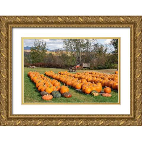 USA-Vermont-Stowe-West Hill Rd-pumpkin field Gold Ornate Wood Framed Art Print with Double Matting by Jones, Allison