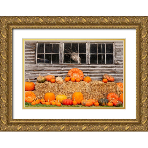 USA-Vermont-Stowe-West Hill Rd-pumpkin field Gold Ornate Wood Framed Art Print with Double Matting by Jones, Allison