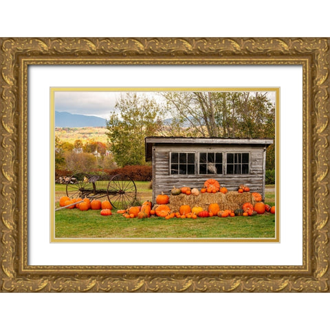 USA-Vermont-Stowe-West Hill Rd-pumpkin field Gold Ornate Wood Framed Art Print with Double Matting by Jones, Allison