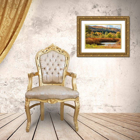 USA-Vermont-Stowe Fall foliage along Little River Gold Ornate Wood Framed Art Print with Double Matting by Jones, Allison