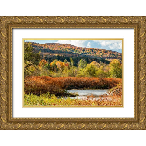 USA-Vermont-Stowe Fall foliage along Little River Gold Ornate Wood Framed Art Print with Double Matting by Jones, Allison