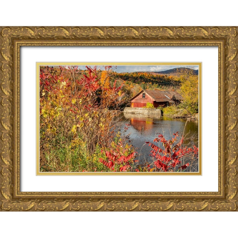 USA-Vermont-Moscow-mill on Little River pond there-fall foliage Gold Ornate Wood Framed Art Print with Double Matting by Jones, Allison