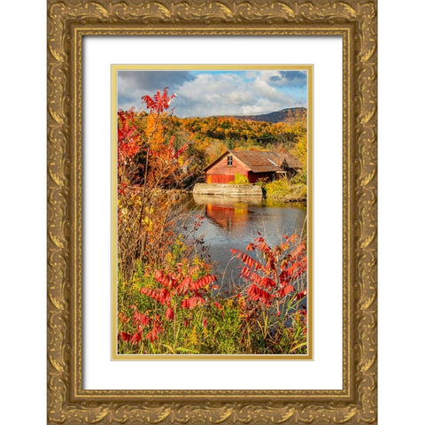 USA-Vermont-Moscow-mill on Little River pond there-fall foliage Gold Ornate Wood Framed Art Print with Double Matting by Jones, Allison