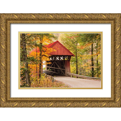USA-Vermont-Stowe-Sterling Valley Road covered bridge in fall foliage Gold Ornate Wood Framed Art Print with Double Matting by Jones, Allison