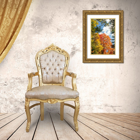 USA-Vermont-Fall foliage in Morrisville on Jopson Lane Gold Ornate Wood Framed Art Print with Double Matting by Jones, Allison