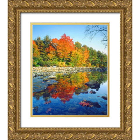 Vermont, Autumn reflecting in a stream Gold Ornate Wood Framed Art Print with Double Matting by Talbot Frank, Christopher