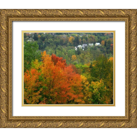 Vermont, St Johnsbury Hillside Trees and homes Gold Ornate Wood Framed Art Print with Double Matting by Terrill, Steve