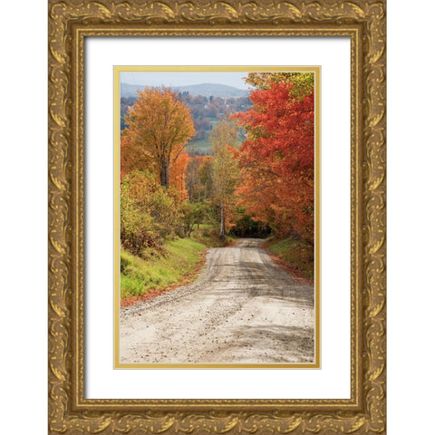 USA-New England-Vermont tree-lined roadway in Autumns Fall colors Gold Ornate Wood Framed Art Print with Double Matting by Gulin, Sylvia