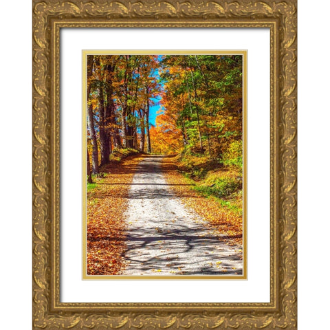 USA-New England-Vermont gravel road lined with sugar maple in full Fall color Gold Ornate Wood Framed Art Print with Double Matting by Gulin, Sylvia