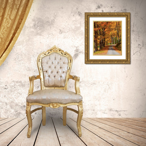 USA-New England-Vermont gravel road lined with sugar maple in full Fall color Gold Ornate Wood Framed Art Print with Double Matting by Gulin, Sylvia