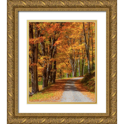 USA-New England-Vermont gravel road lined with sugar maple in full Fall color Gold Ornate Wood Framed Art Print with Double Matting by Gulin, Sylvia