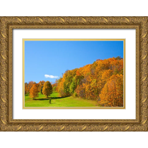 USA-New England-Vermont Gold Ornate Wood Framed Art Print with Double Matting by Gulin, Sylvia